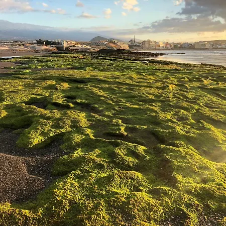 La Perla Daire El Médano